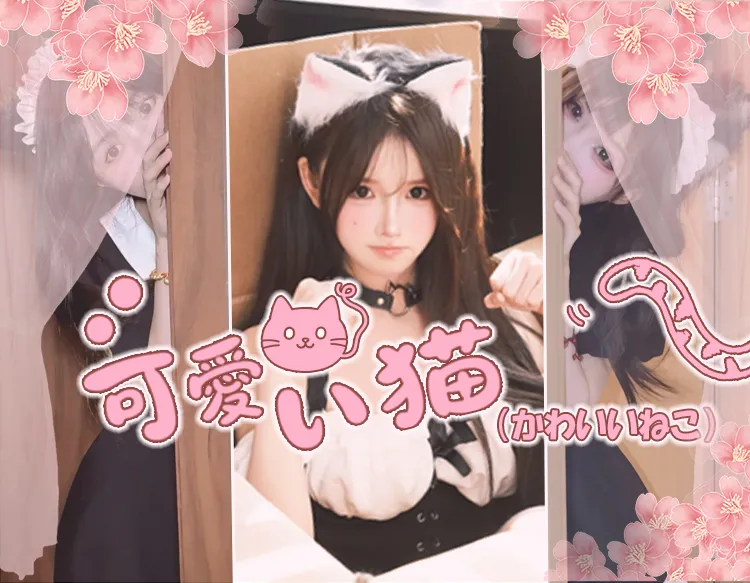 可愛い猫