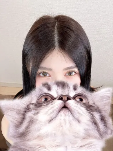 猫屋敷