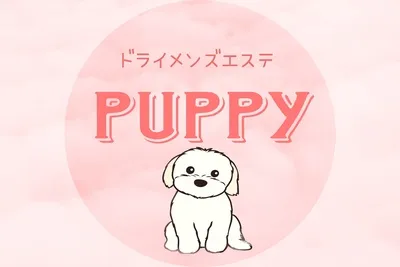 ドライメンエスPuppy