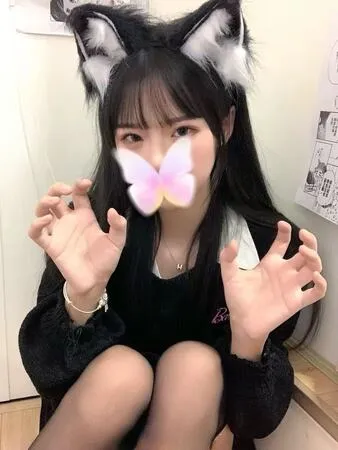 夜の蝶