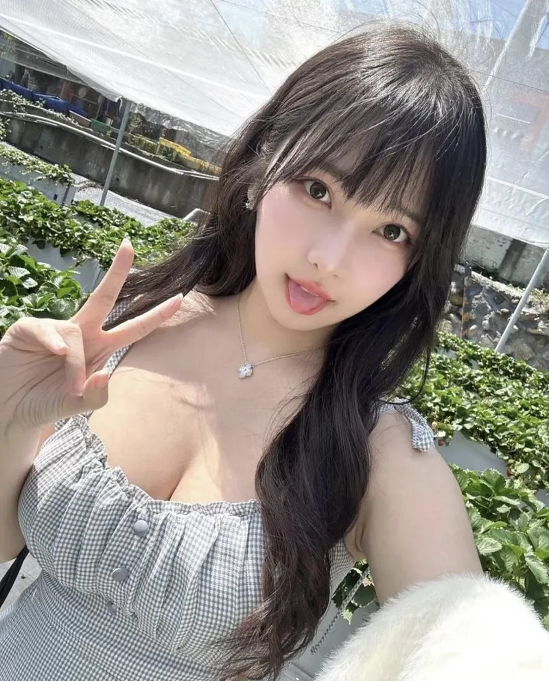ねこ