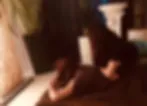 いわた