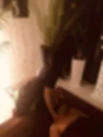 わたなべ