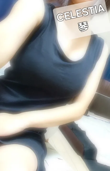 琴