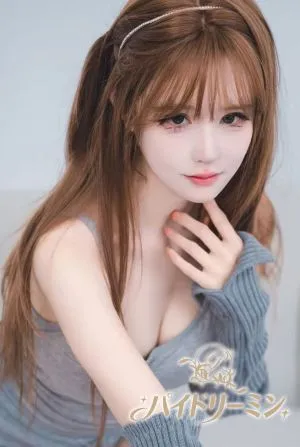 パイドリーミン