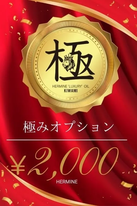 【極】オプション